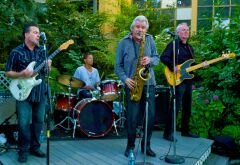 Terry Hank quartet.jpg
